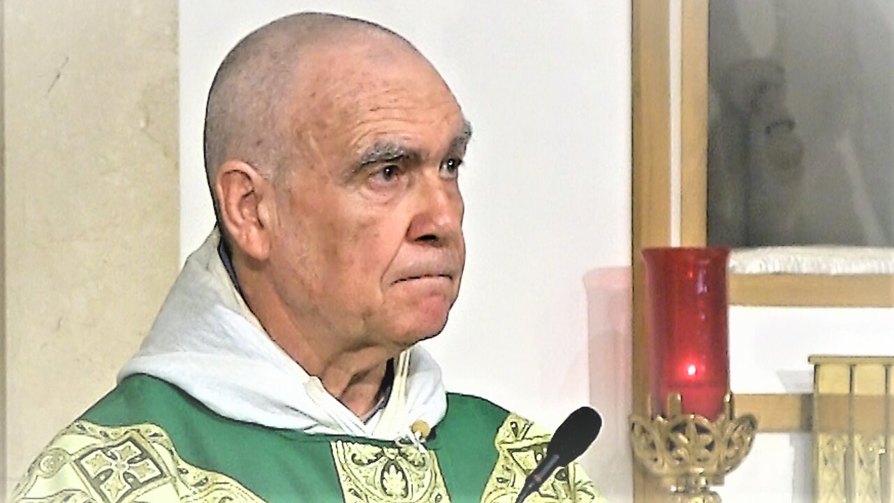 Ave Maria! HOMILY - Fifteenth Sunday in Ordinary Time - July 10, 2022