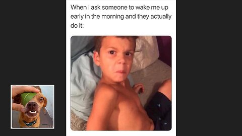 Memes That Will 99.799% Make You Laugh. (e23)