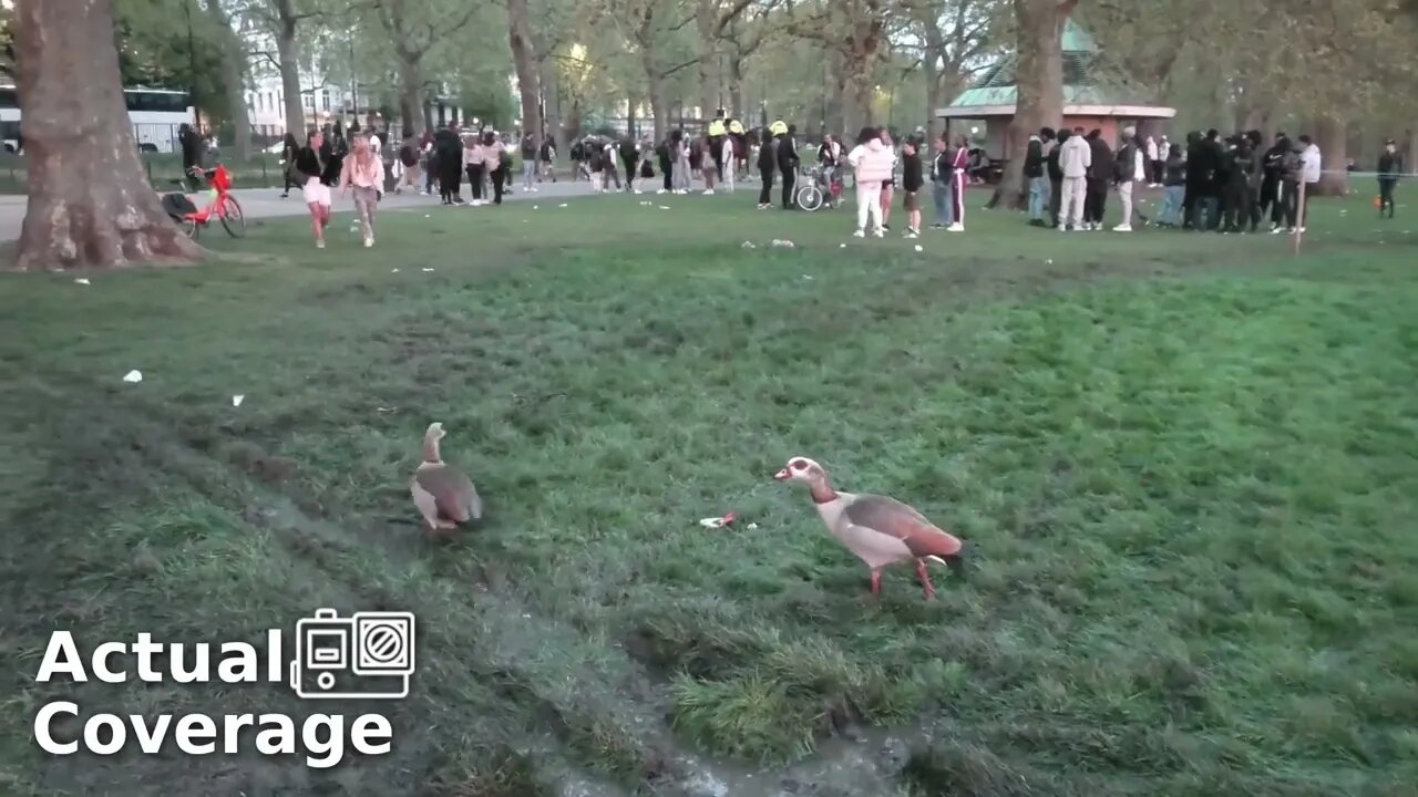 '4:20' celebrators leave Hyde Park an absolute dump | HYDE PARK | 20th April 2022