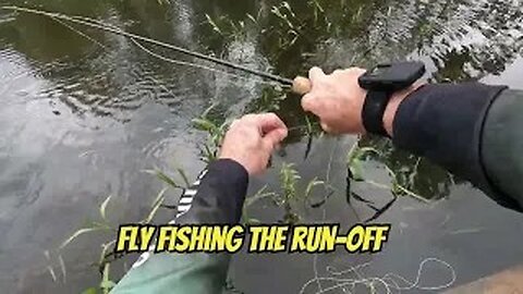 Fly fishing the run-off from a floodplain.