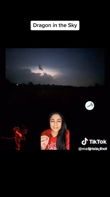 Dragon? Pterodactyl? Thunderbird?