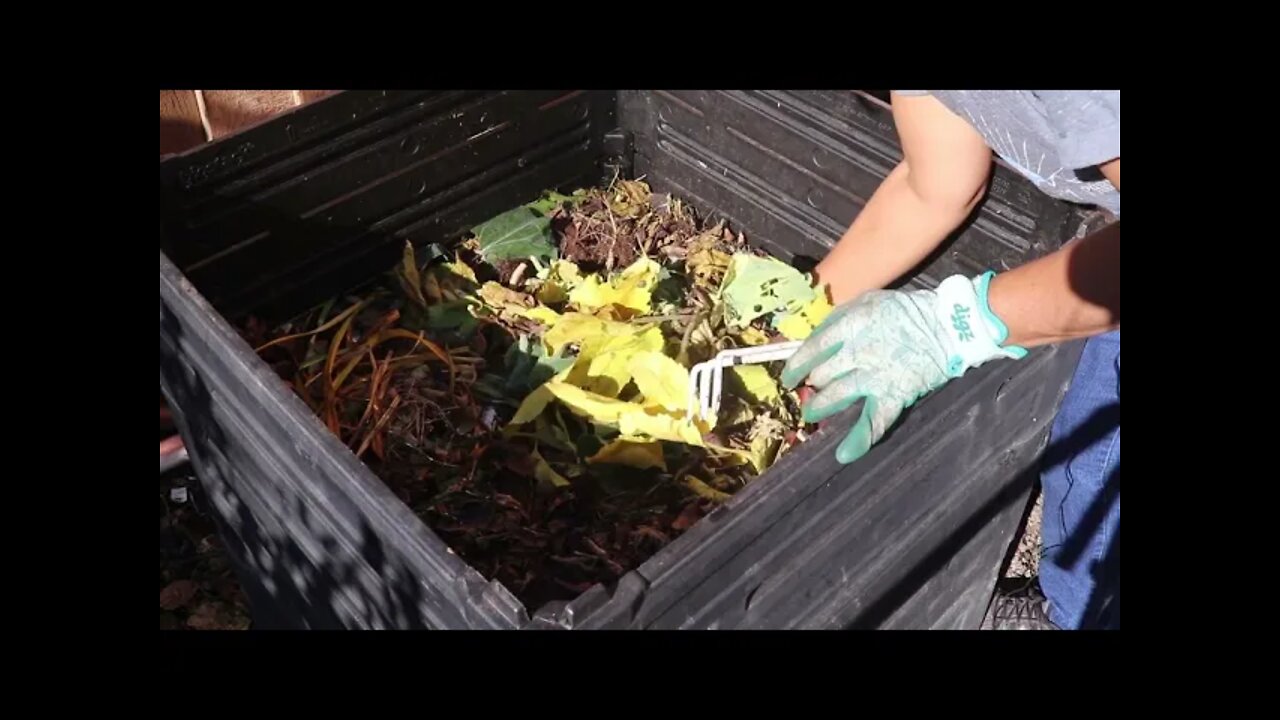 How to compost in your back yard