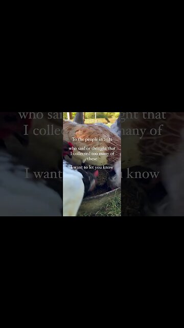 I’m Getting More #shorts