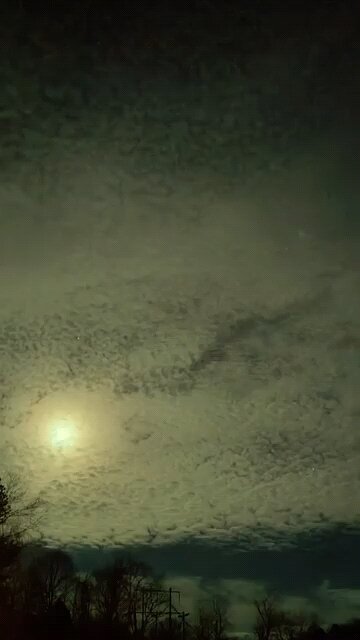 03/10/24 Scripture of the day