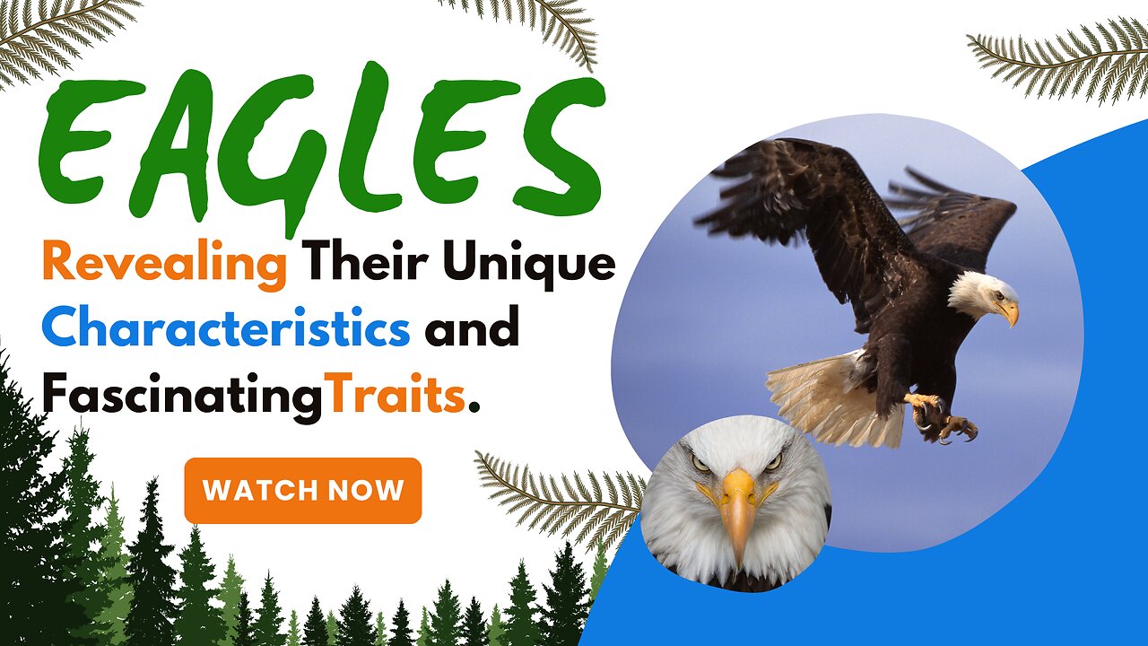 Eagles, Revealing Their Unique Characteristics and Fascinating Traits.