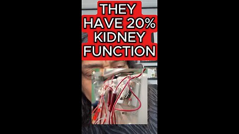 Kidney function ⚠️⚠️