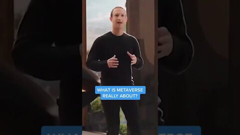 What is the #Metaverse really about? #facebook #instagram #shorts