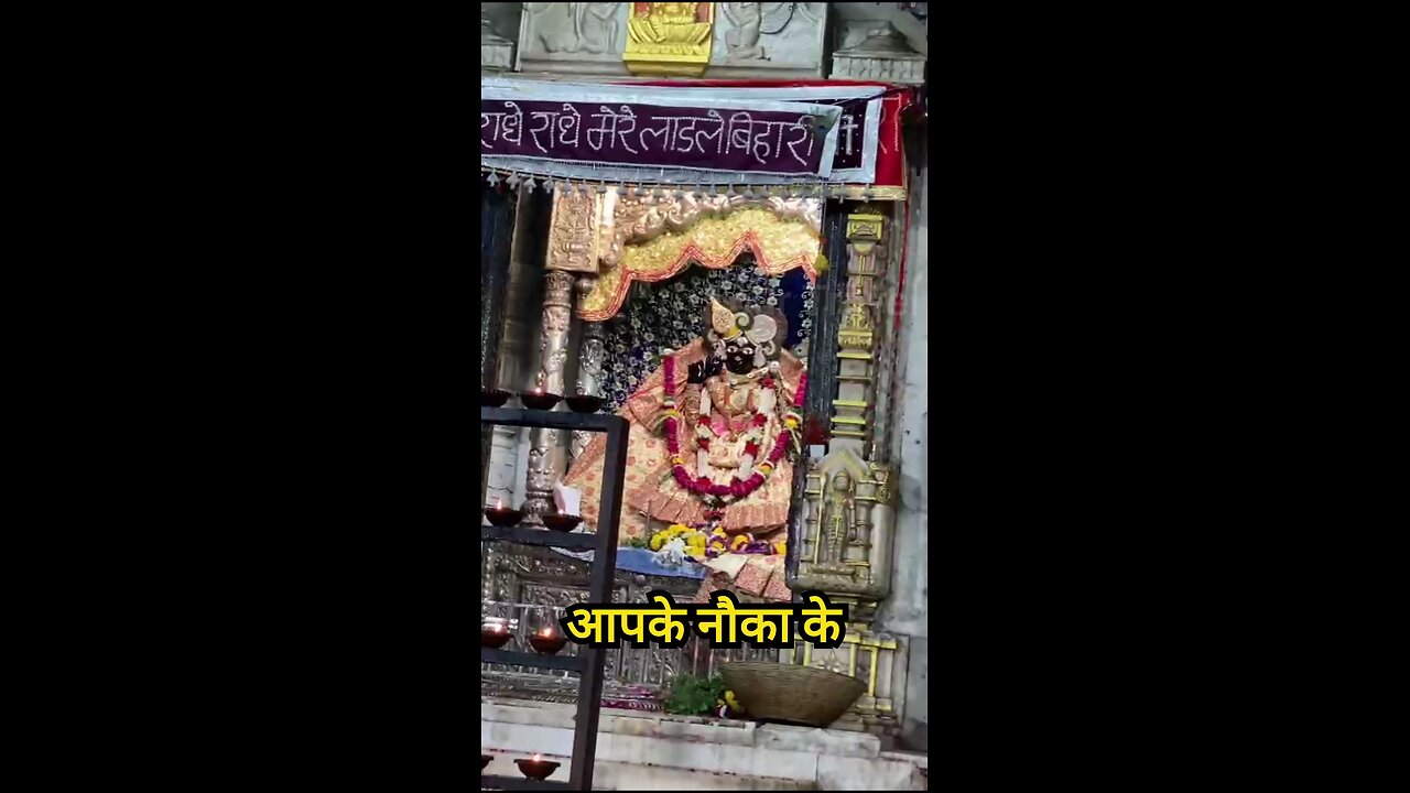 banke bihari mandir darshan vrindavan