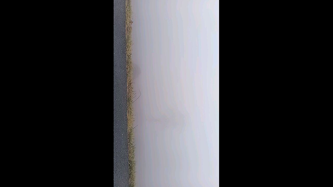 It's Gray out