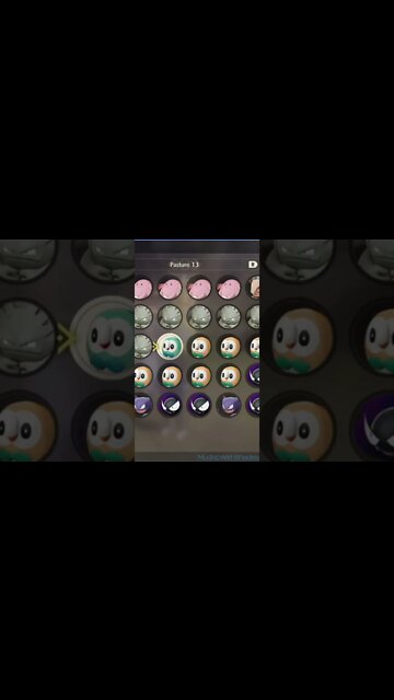 Trading Away a Shiny Rowlet I JUST Caught?! Pokemon Legends Arceus moments #shorts