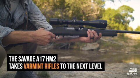 Gun Review: The Savage Arms A17 HM2 Takes Varmint Guns to the Next Level