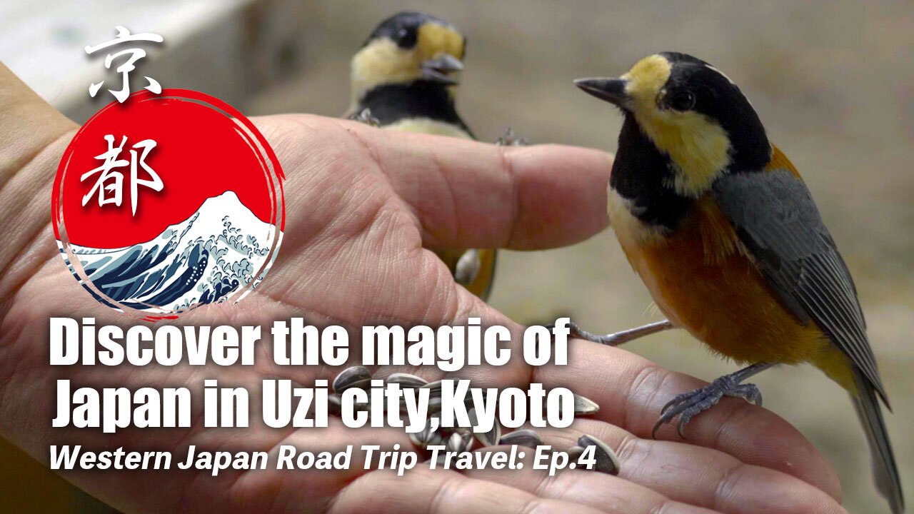 Western Japan Road Trip Travel: Ep.4 | Explore the beauty of Kyoto travel vlog.