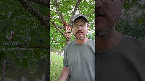 Quick survival squirrel trap