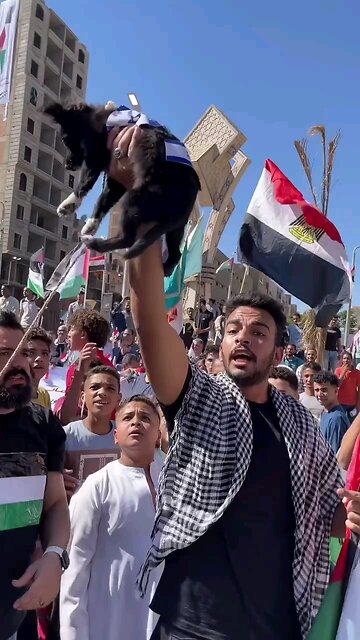 Animal Lovers - Do you support Hamas/ISIS?