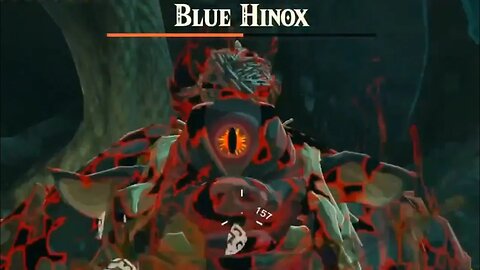 Defeating Blue Hinox "East Necluda Depths" - The Legend of Zelda: Tears of the Kingdom