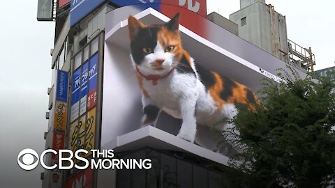 giant cat draws attention in Tokyo 😱😱