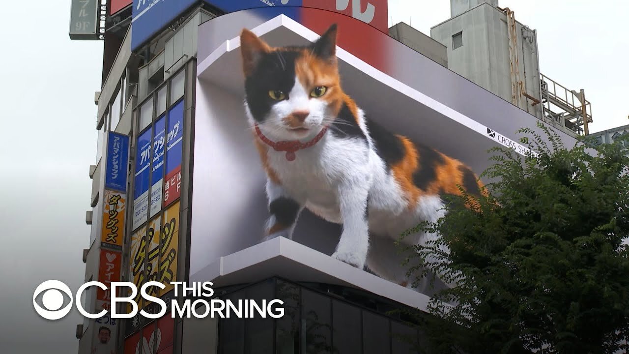 giant cat draws attention in Tokyo 😱😱