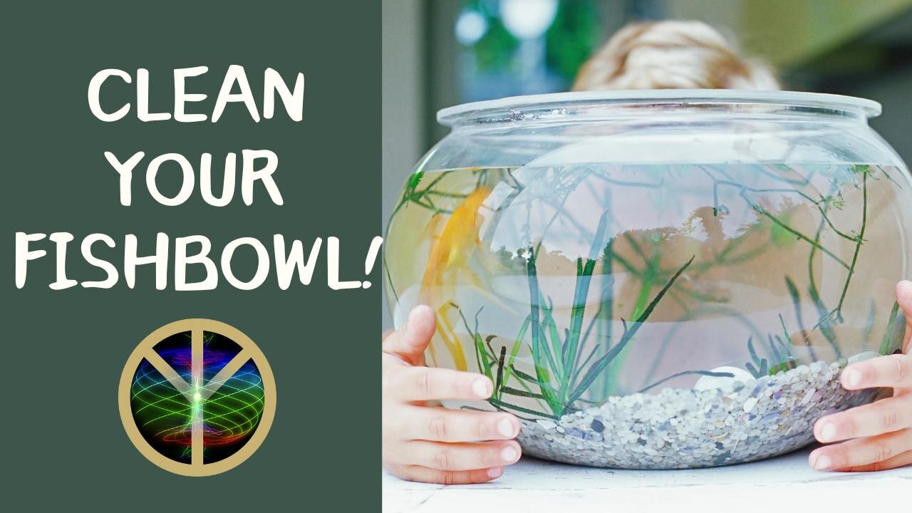 Clean Your Fishbowl!