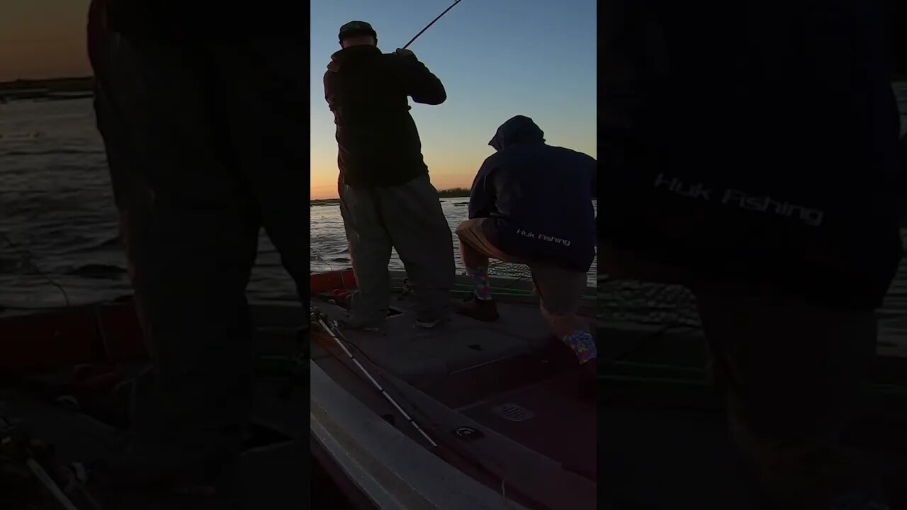 Cast Drop Smash. Just like Roland would say. 💥 #bassfishing #outdoors #fyp