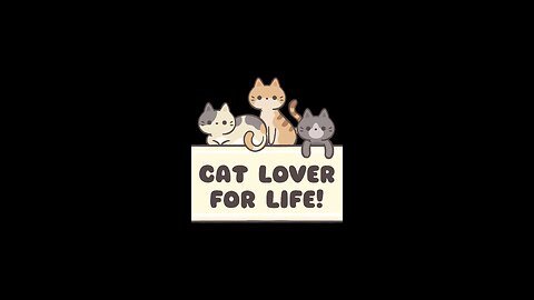 cats and dogs funny videos