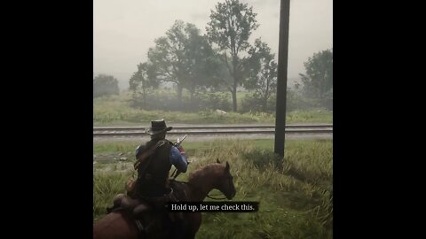 WHEN YOU CAN'T AIM FOR SH*T IN RDR2