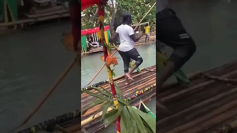 Rafting Have a Vybz #shortsvideo #shortsfeed #jamaica #nature #youtubeshorts #shortviral #shorts