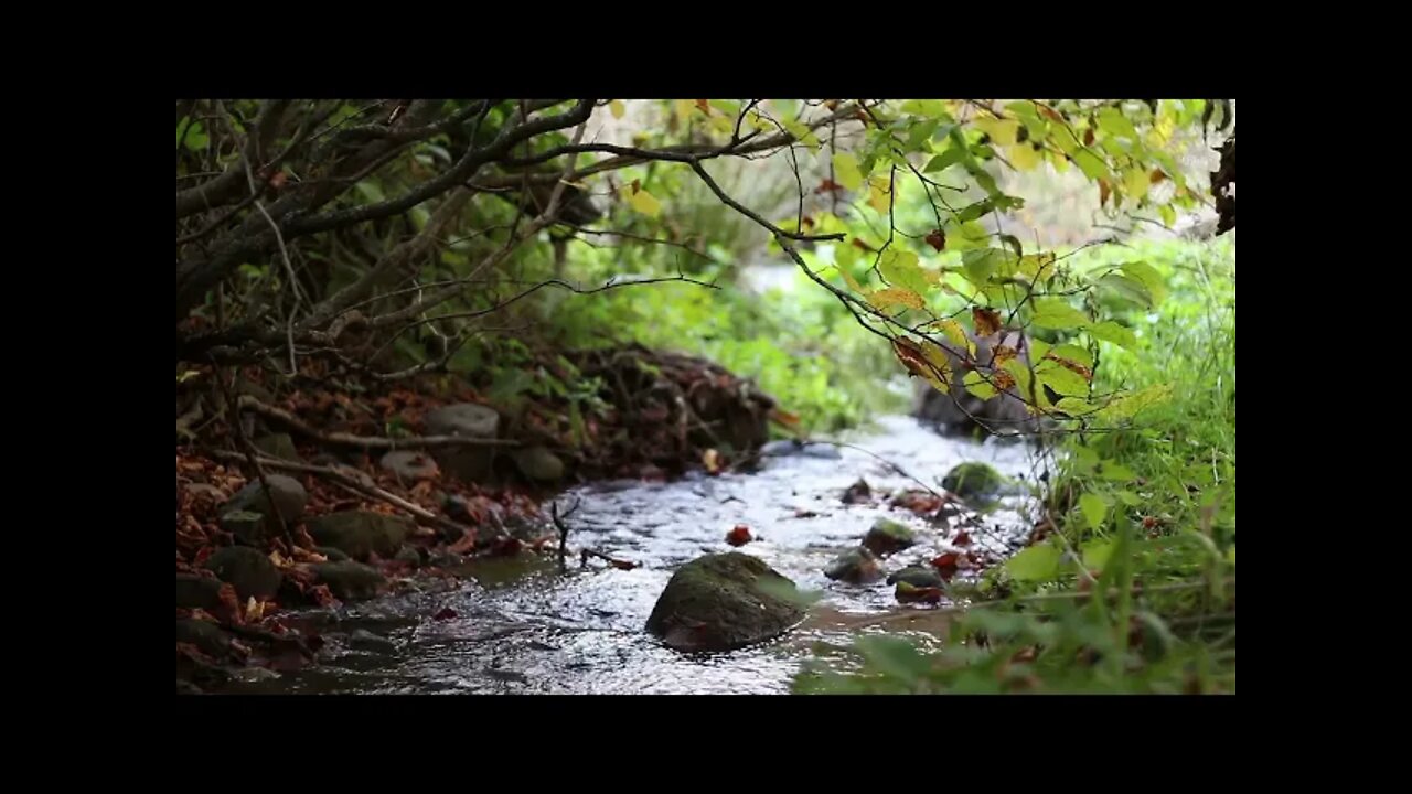 Relaxing Music Calming Music New Video
