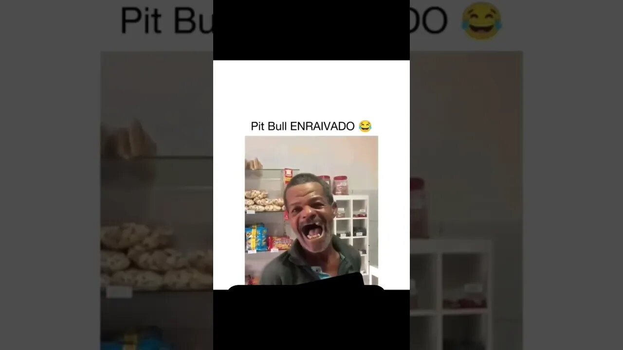 Pitbull Enraivado original kkkk #shorts