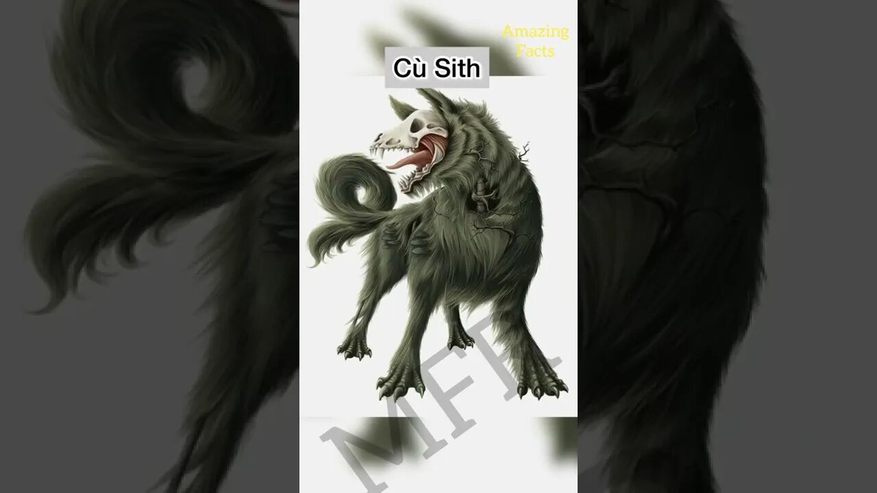 Amazing facts about the world of famous history P-6