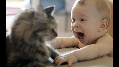 CUTE BABY AND CAT