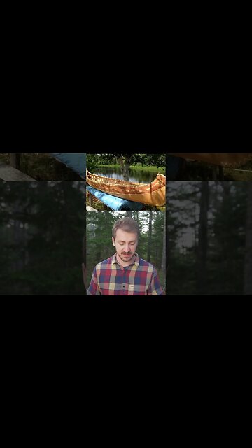 4 Trees You Can Make Bark Baskets With!