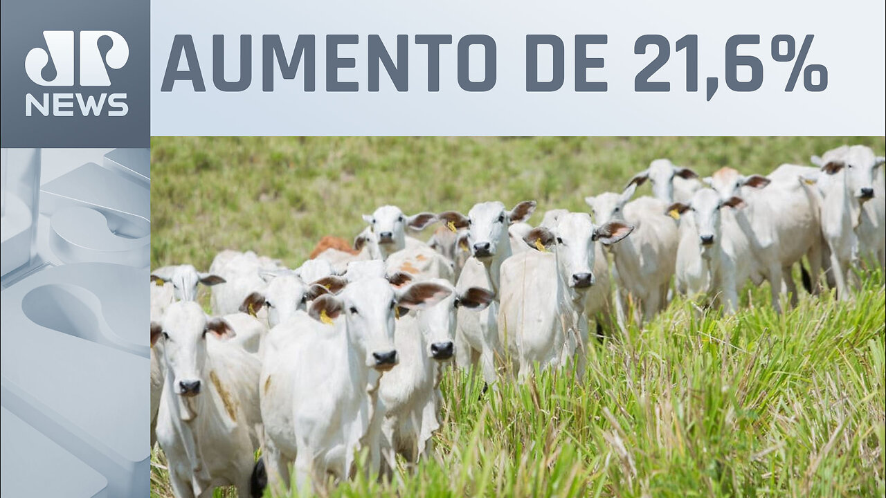 Setor da agropecuária cresce e registra maior índice em 30 anos