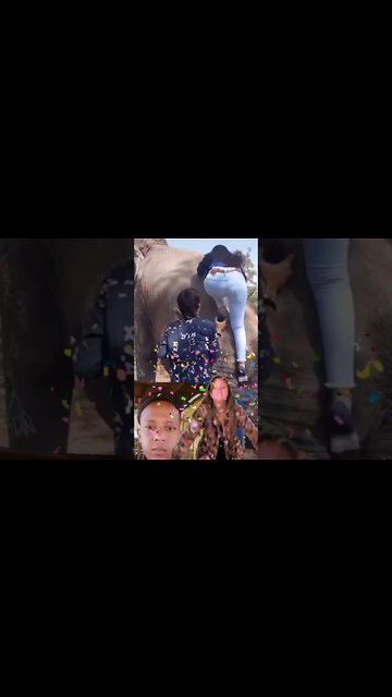 Most Amazing and trending video||relaxing your mind||trendig videos|| #shorts #trending #viral #live