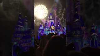 Fireworks at Disney World #shorts