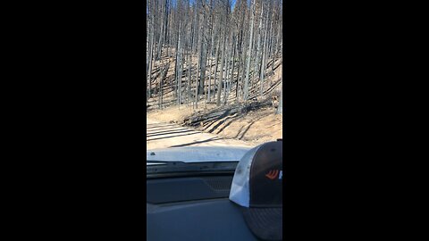 Park fire