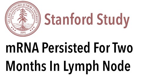 Stanford Study: mRNA Persisted For Two Months In Lymph Node