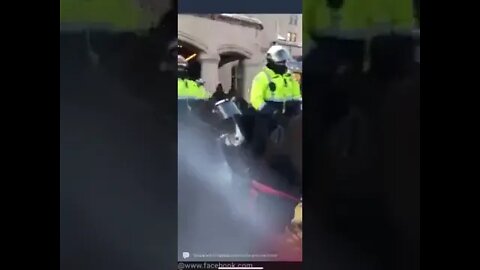 peace & Love Grandma run over by police horses