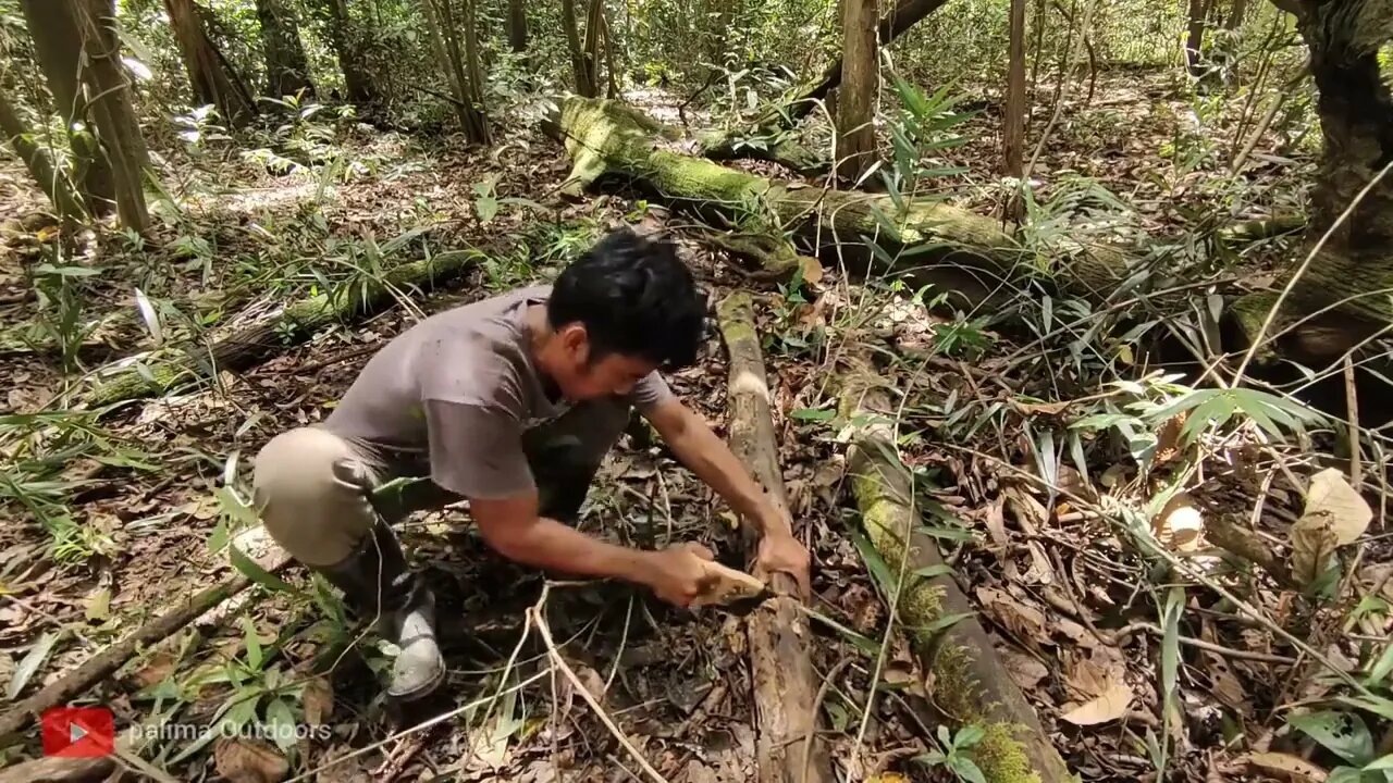 10 # camping hujan deras di pondok kayu lapuk __ tidur nyenyak dalam shelter alami