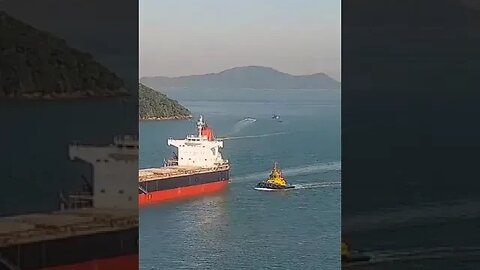 Ship Passes With Tugboat Escort. #trending #shorts #merchantnavy #ship #lifeatsea #tuglife #ocean