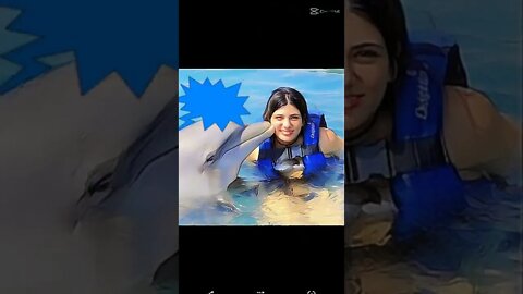 Encontro com golfinhos #shorts