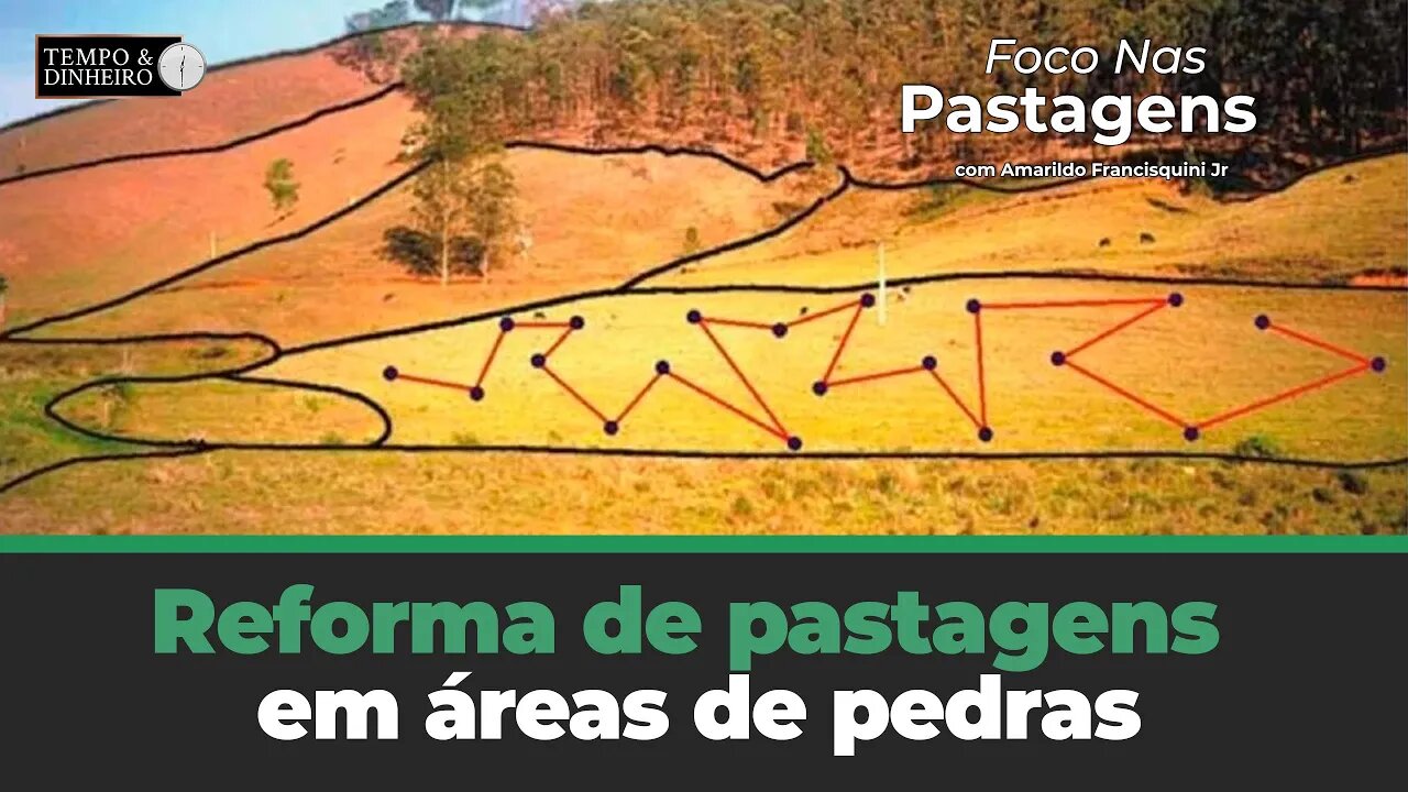 Reforma de pastagens em áreas de pedras. Saiba como fazer em Foco nas Pastagens