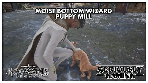 Puppy Mill: "THAT" Wizard game! #hogwartslegacy #hogwarts #jkrowling