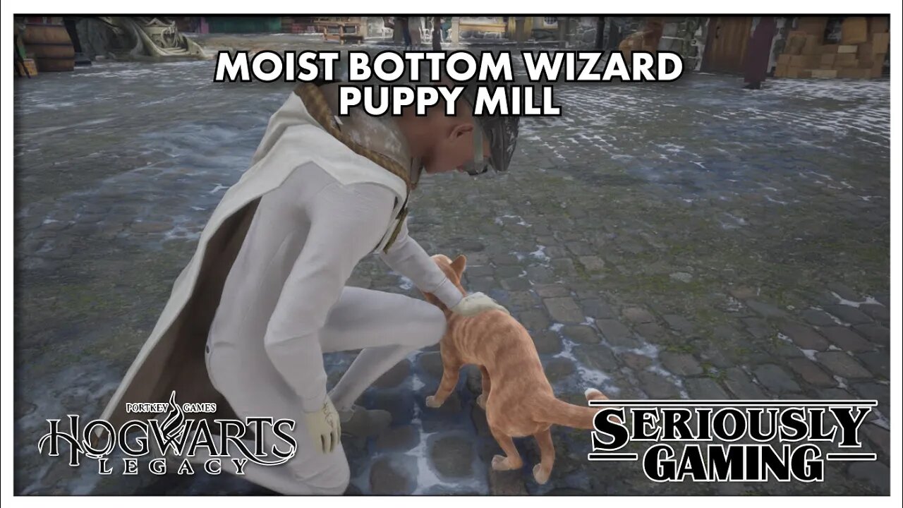 Puppy Mill: "THAT" Wizard game! #hogwartslegacy #hogwarts #jkrowling