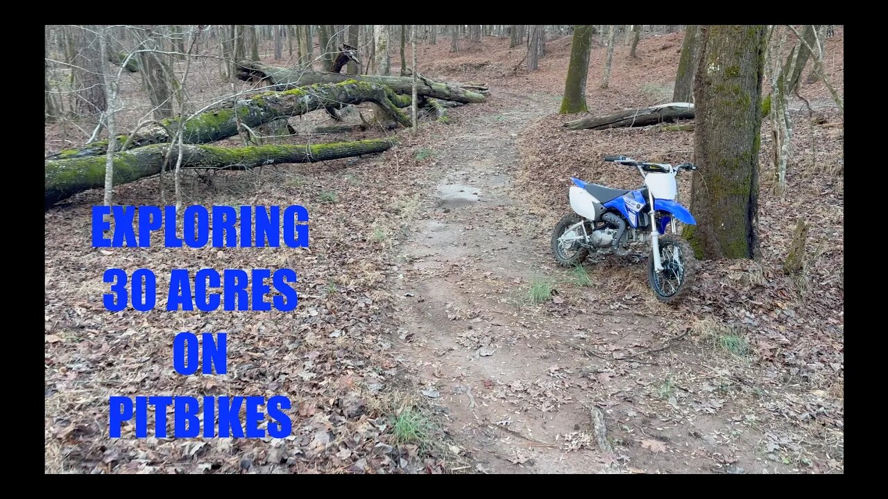 Exploring my Backyard Forrest on My Pit Bike