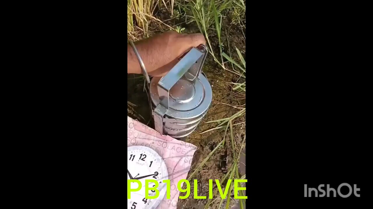 PB19LIVE