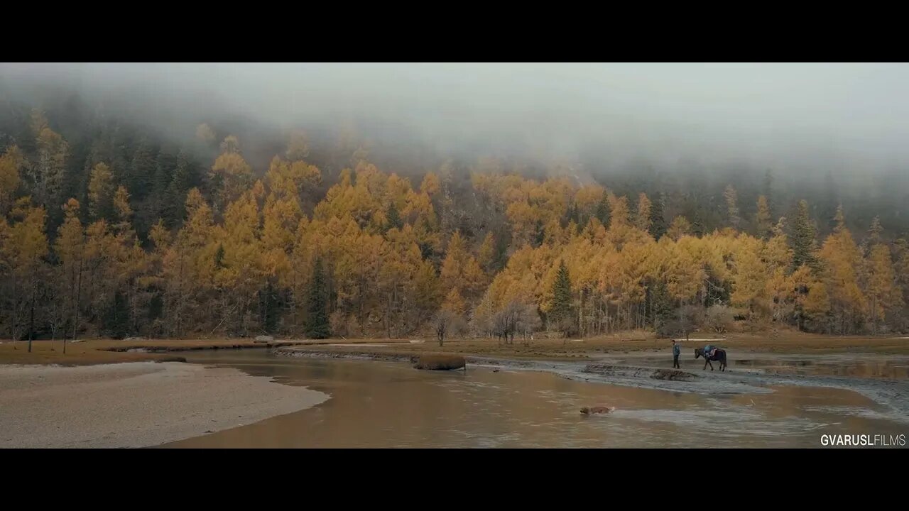 【GVARUSL】 Camping in the wild autumn 1