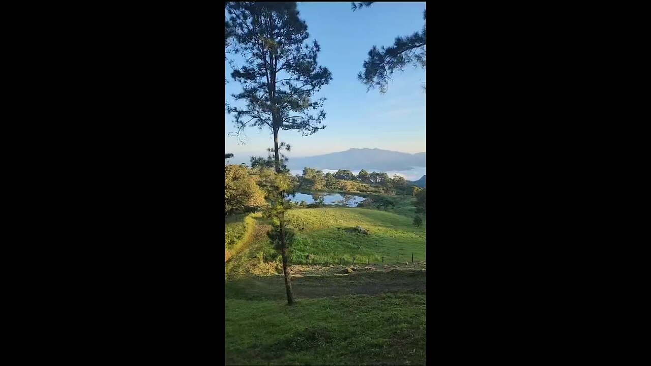 6313408 Some Beautiful Views