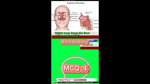 Nose mcqs #Qadisiyah #quiz #Arabic #MedicalQuiz #phramcology #nurses