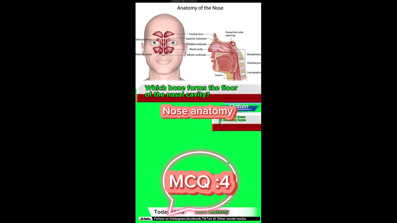 Nose mcqs #Qadisiyah #quiz #Arabic #MedicalQuiz #phramcology #nurses