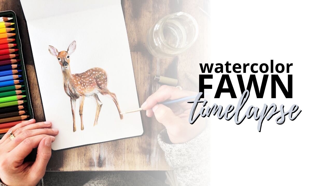 Timelapse Watercolor Painting of a Fawn